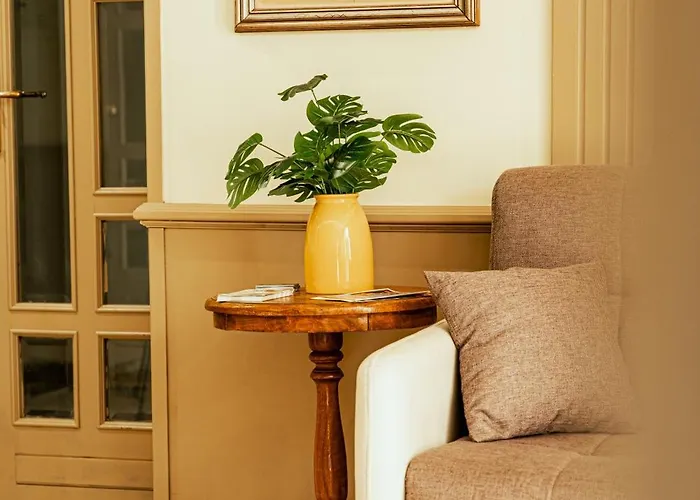 Belsito Wellness & *